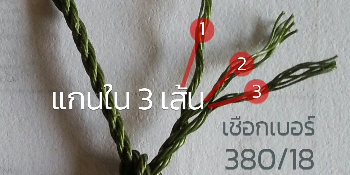 ตาข่ายอวน,ตาข่ายอวนสำเร็จ,ตาข่ายเขียว,ตาข่ายกันนก,ตาข่ายดักนก,ตาข่ายล้อมไก่,อวนล้อม  ไก่,ตาข่ายกั้นของตก,อวนโปลีเขียว,อวน,อวนเลี้ยงปลา,อวนเลี้ยงเป็ด,อวนเลี้ยงไก่,อวนตาข่าย,อวน  ขายส่ง,ขายส่งอวน,อวนราคา,ราคาอวน,ตาข่ายเลี้ยงส้ตว์,‎ตาข่ายเขียว,ตาข่ายกั้นสนามฟุตบอล,ตาข่าย  สนามฟุตบอล,ตาข่ายไก่,ตาข่ายพลาสติก,ตาข่ายกั้นสนามเด็กเล่น,เชือกล้อมไก่,อวนโปลี,ตาข่ายเลี้ยง  ไก่,ตาข่ายกั้นสนามกอล์ฟ,ตาข่ายอวนโปลี,ตาข่ายไนลอนอ วน ,อ วน ล้อม ไก่ ,ตาข่าย อ วน ,ตาข่าย อ วน ล้อม ไก่ ,อ วน ตาข่าย ,อ วน ล้อม ,อ วน โปลี ,อ วน ไก่ ,อ วน ตาข่าย ล้อม ไก่ ,ล้อม อ วน ,ตาข่าย อ วน โปลี