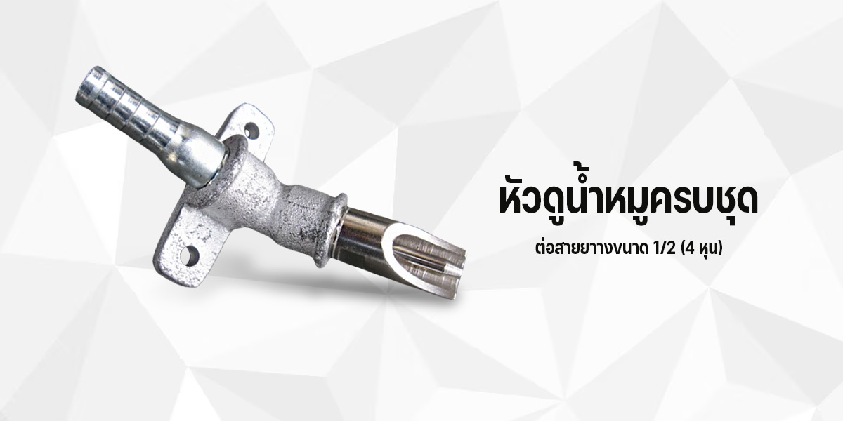 ก๊อกน้ำที่ให้น้ำหมู,ก๊อกหมู,ร้านขาย ก๊อกหมู ราคาส่ง,ก๊อกหมูสแตนเลส,ก๊อกน้ำหมู สเตนเลสแท้,ก๊อกน้ำหมู สแตนเลสแท้,ร้านขายก๊อกหมู,ร้านขายก๊อกหมู ใกล้ฉัน,ร้านขายก๊อกหมู ใกล้ฉัน ห้วยแถลง,ร้านขายก๊อกน้ำ อำเภอพิมาย นครราชสีมา,จุ๊บ น้ำ หมู,ก๊อกน้ำหมู,ก๊อกน้ํา