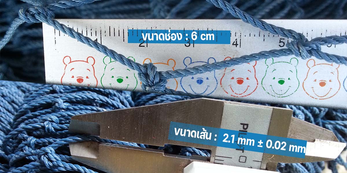 ตาข่ายอวน,ตาข่ายอวนสำเร็จ,ตาข่ายกันนก,ตาข่ายดักนก,ตาข่ายล้อมไก่,อวนล้อมไก่,ตาข่ายกั้นของตก,อวนโปลีเขียว,อวน,อวนเลี้ยงปลา,อวนเลี้ยงเป็ด,อวนเลี้ยงไก่,อวนตาข่าย,อวน  ขายส่ง,ขายส่งอวน,อวนราคา,ราคาอวน,ตาข่ายเลี้ยงส้ตว์,‎ตาข่ายเขียว,ตาข่ายกั้นสนามฟุตบอล,ตาข่ายสนามฟุตบอล,ตาข่ายไก่,ตาข่ายพลาสติก,ตาข่ายกั้นสนามเด็กเล่น,เชือกล้อมไก่,อวนโปลี,ตาข่ายเลี้ยงไก่,ตาข่ายกั้นสนามกอล์ฟ,ตาข่ายอวนโปลี,ตาข่ายไนลอน,ตาข่ายไนล่อนโปลี