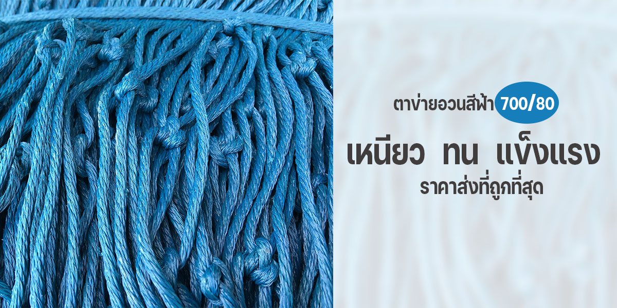 ตาข่ายอวน,ตาข่ายอวนสำเร็จ,ตาข่ายกันนก,ตาข่ายดักนก,ตาข่ายล้อมไก่,อวนล้อมไก่,ตาข่ายกั้นของตก,อวนโปลีเขียว,อวน,อวนเลี้ยงปลา,อวนเลี้ยงเป็ด,อวนเลี้ยงไก่,อวนตาข่าย,อวนขายส่ง,ขายส่งอวน,อวนราคา,ราคาอวน,ตาข่ายเลี้ยงส้ตว์,‎ตาข่ายเขียว,ตาข่ายกั้นสนามฟุตบอล,ตาข่ายสนามฟุตบอล,ตาข่ายไก่,ตาข่ายพลาสติก,ตาข่ายกั้นสนามเด็กเล่น,เชือกล้อมไก่,อวนโปลี,ตาข่ายเลี้ยงไก่,ตาข่ายกั้นสนามกอล์ฟ,ตาข่ายอวนโปลี,ตาข่ายไนลอน,ตาข่ายไนล่อนโปลี