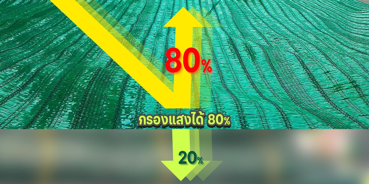 แสลนกรองแสงได้80%
