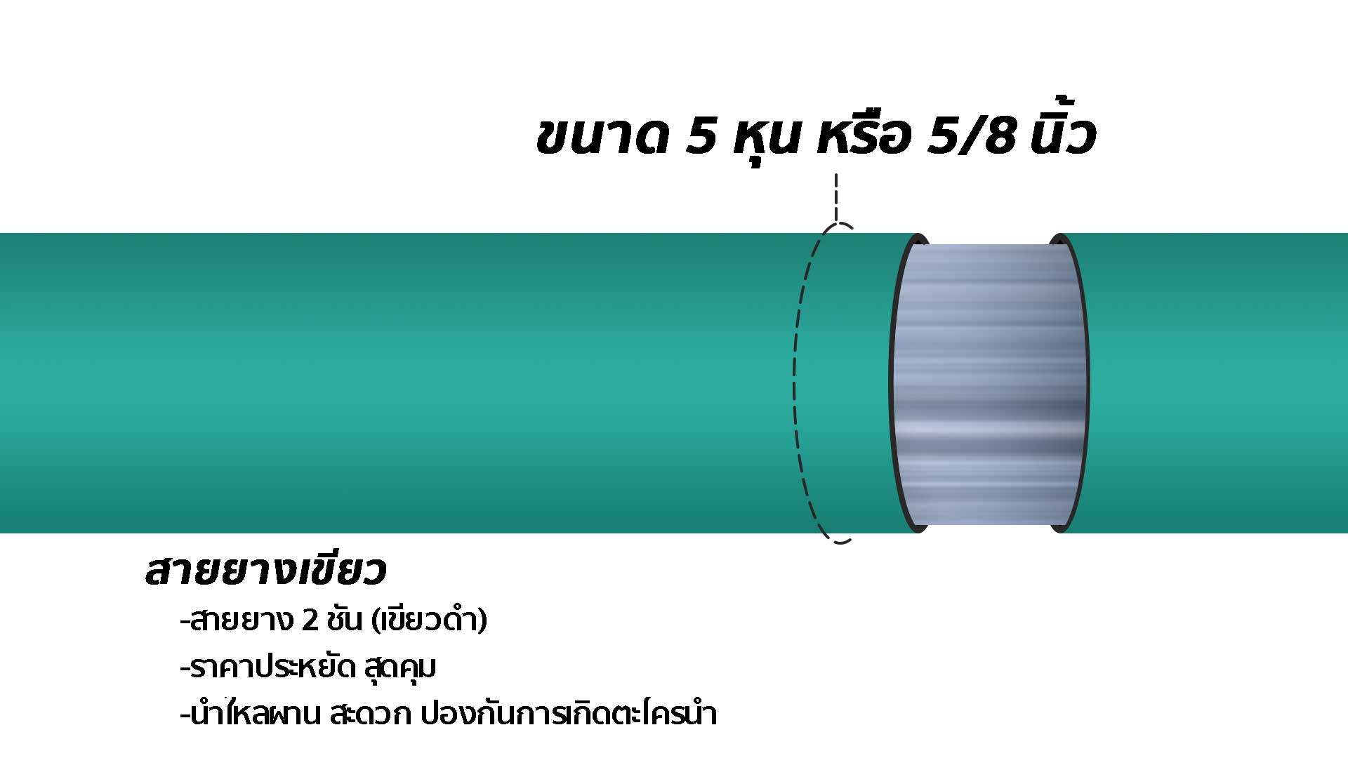 สายยางเขียว APEX 5 หุน คืออะไร?