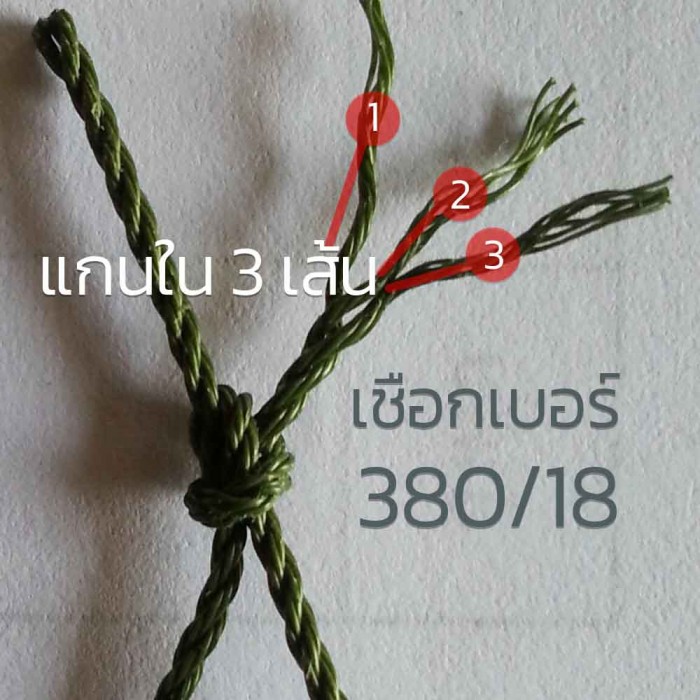 ภาพที่ 5