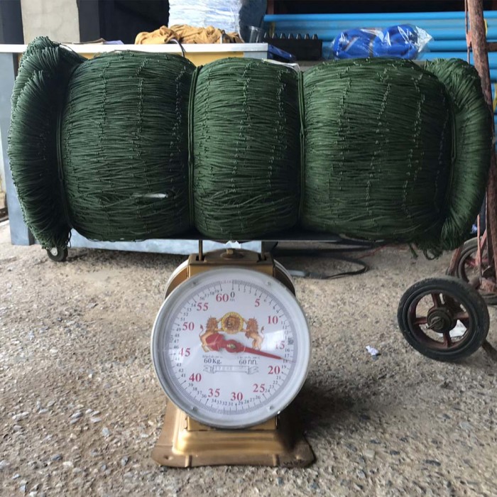 ภาพที่ 6